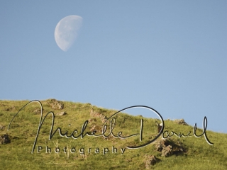 A bald eagle perches on a rock beneath a waxing moon at the National Bison Range, Moise, Montana. 72 dpi, 300 dpi