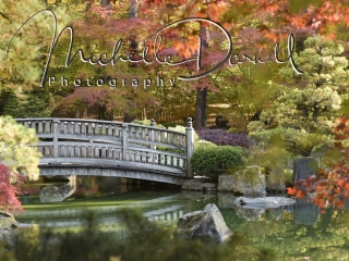 Japanese Gardens at Manito