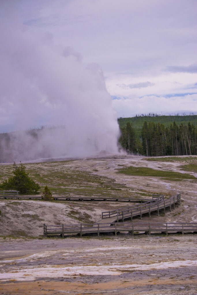 Old Faithful