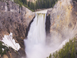 Yellowstone Falls