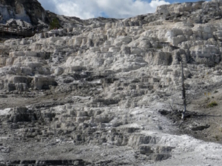 Mammoth Hot Springs