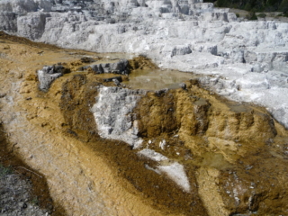 Mammoth Hot Springs