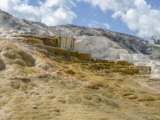 Mammoth Hot Springs