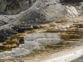 Mammoth Hot Springs
