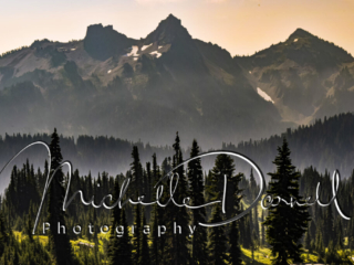 Mt Rainier National Park view from Skyline Trail