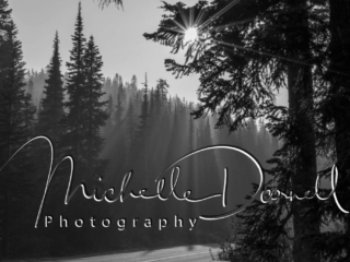 Smokey afternoon, Mt Rainier National Park