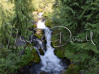 Skyline Waterfall, Mt Rainier National Park