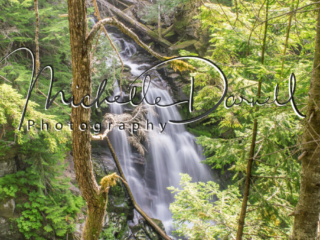 Carter Falls on Wonderland Trail, Mt Rainier National Park