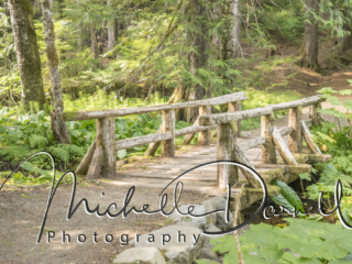 Wonderland Trail, Mt Rainier National Park
